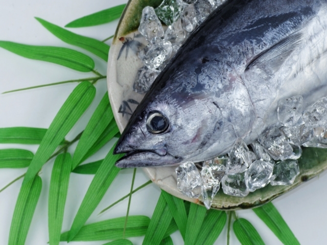 高知県の風景：カツオ